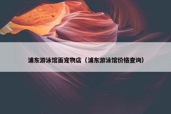 浦东游泳馆面宠物店（浦东游泳馆价格查询）
