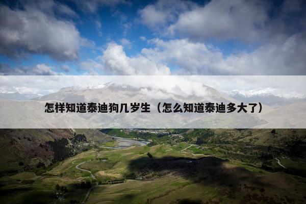 怎样知道泰迪狗几岁生（怎么知道泰迪多大了）