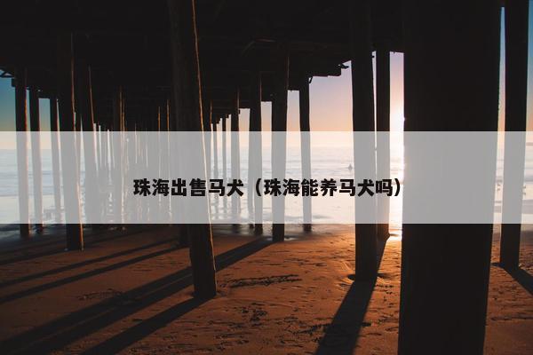 珠海出售马犬（珠海能养马犬吗）