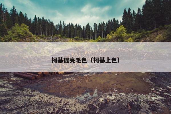 柯基提亮毛色（柯基上色）