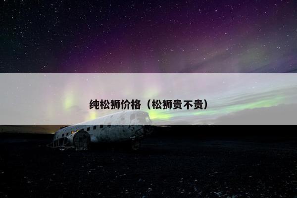 纯松狮价格（松狮贵不贵）