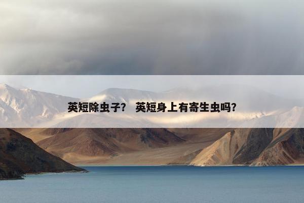英短除虫子？ 英短身上有寄生虫吗？
