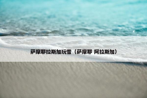 萨摩耶拉斯加玩雪（萨摩耶 阿拉斯加）