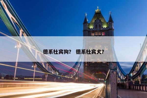 德系杜宾狗？ 德系杜宾犬？