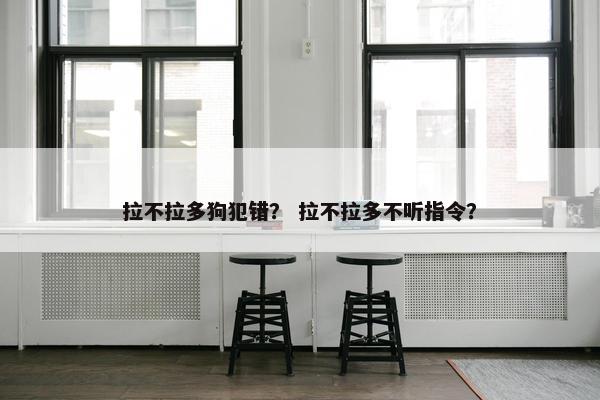 拉不拉多狗犯错？ 拉不拉多不听指令？