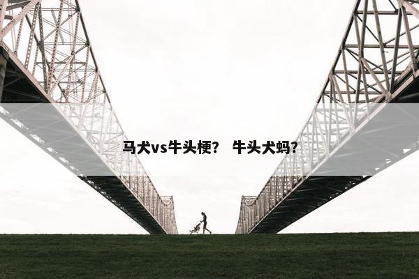 马犬vs牛头梗？ 牛头犬蚂？