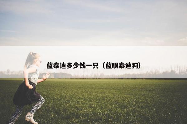 蓝泰迪多少钱一只（蓝眼泰迪狗）