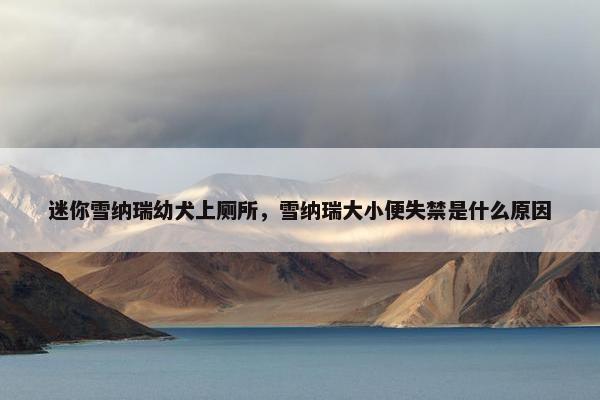 迷你雪纳瑞幼犬上厕所，雪纳瑞大小便失禁是什么原因