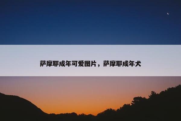 萨摩耶成年可爱图片，萨摩耶成年犬