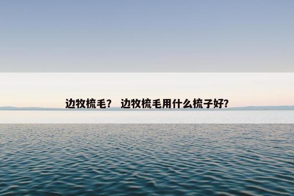 边牧梳毛？ 边牧梳毛用什么梳子好？