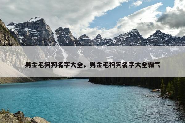 男金毛狗狗名字大全，男金毛狗狗名字大全霸气