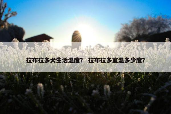 拉布拉多犬生活温度？ 拉布拉多室温多少度？