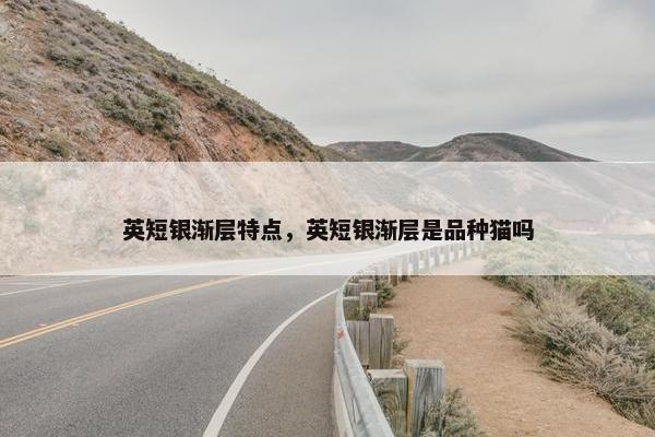英短银渐层特点，英短银渐层是品种猫吗