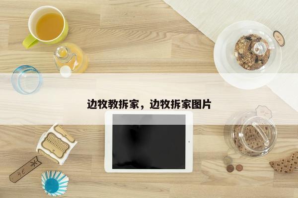 边牧教拆家，边牧拆家图片