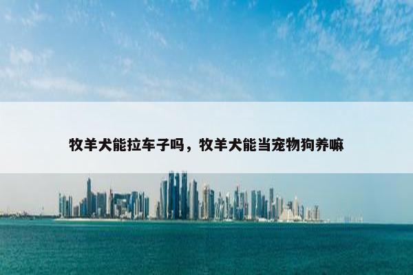 牧羊犬能拉车子吗，牧羊犬能当宠物狗养嘛