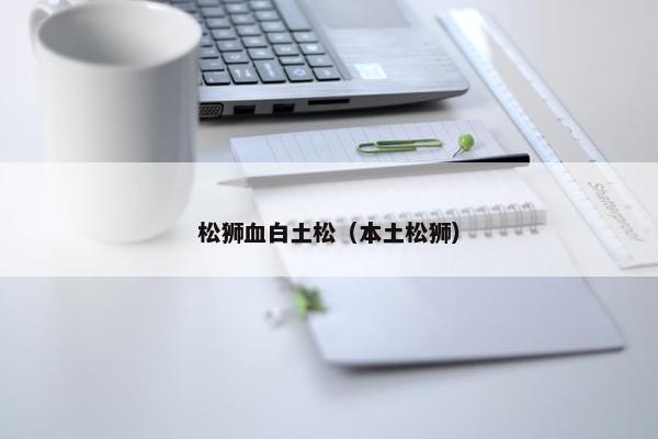 松狮血白土松（本土松狮）