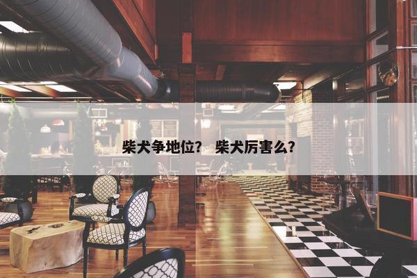 柴犬争地位？ 柴犬厉害么？