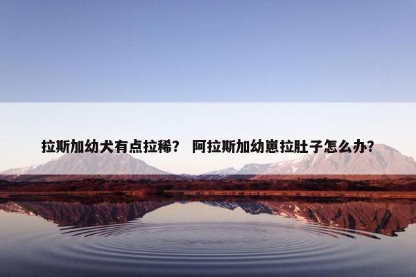 拉斯加幼犬有点拉稀？ 阿拉斯加幼崽拉肚子怎么办？
