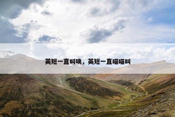 英短一直叫唤，英短一直喵喵叫