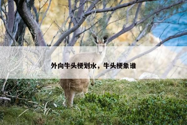 外向牛头梗划水，牛头梗象谁