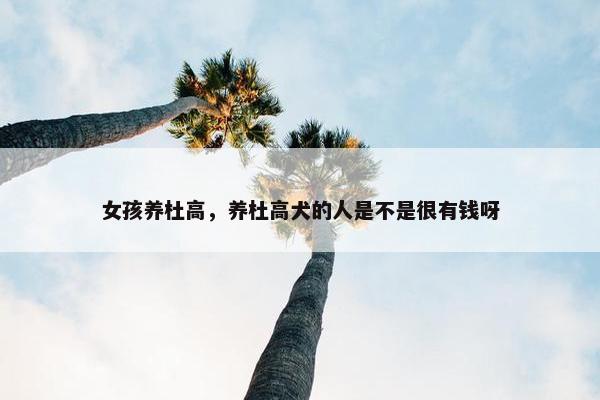 女孩养杜高，养杜高犬的人是不是很有钱呀