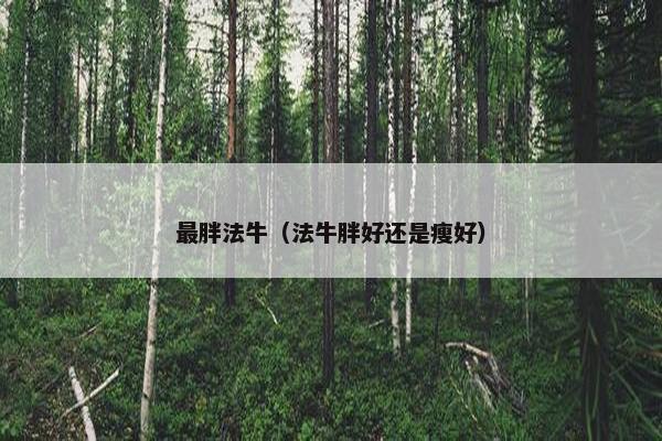 最胖法牛（法牛胖好还是瘦好）