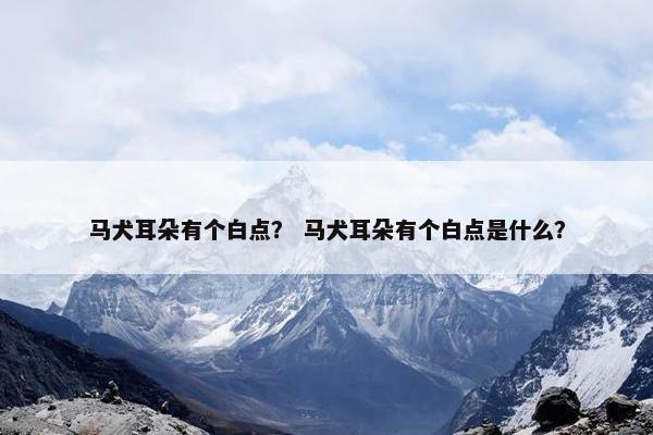马犬耳朵有个白点？ 马犬耳朵有个白点是什么？