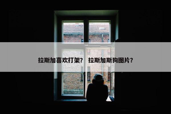 拉斯加喜欢打架？ 拉斯加斯狗图片？