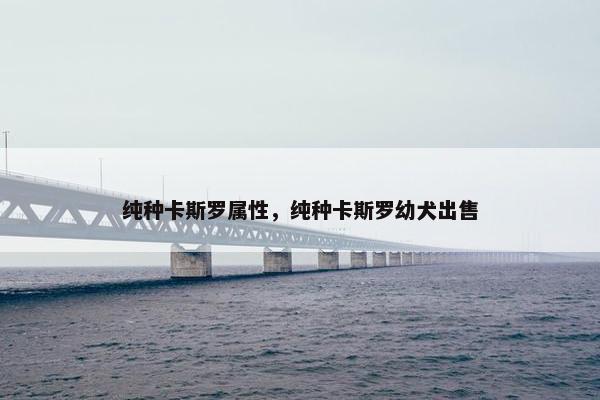 纯种卡斯罗属性，纯种卡斯罗幼犬出售