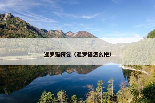 暹罗猫挎包（暹罗猫怎么抱）