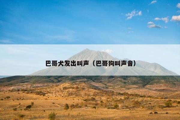 巴哥犬发出叫声（巴哥狗叫声音）