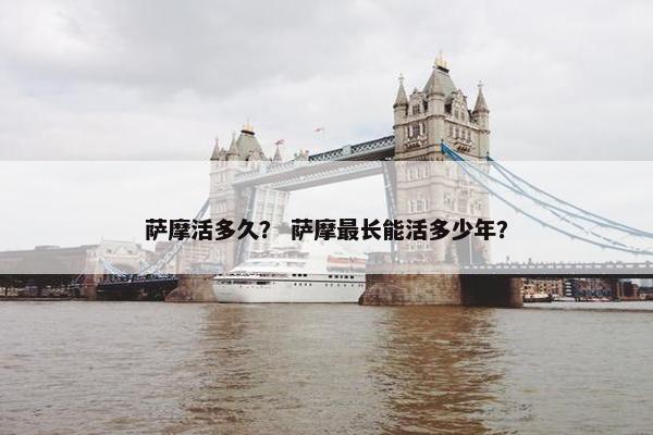 萨摩活多久？ 萨摩最长能活多少年？