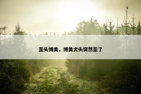 歪头博美，博美犬头突然歪了