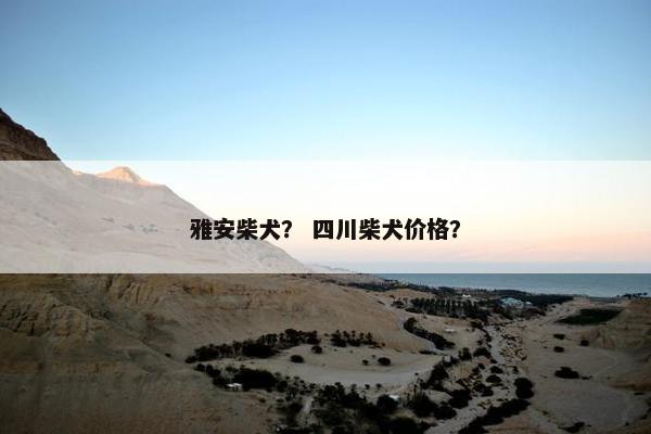 雅安柴犬？ 四川柴犬价格？