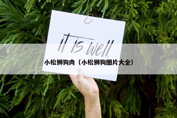 小松狮狗肉（小松狮狗图片大全）