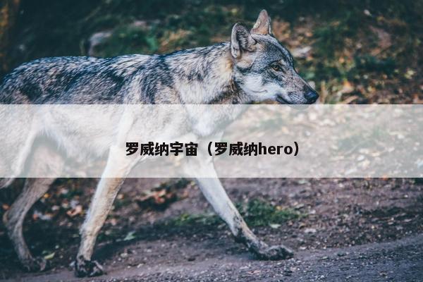 罗威纳宇宙（罗威纳hero）