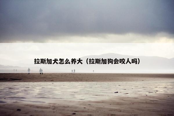 拉斯加犬怎么养大（拉斯加狗会咬人吗）