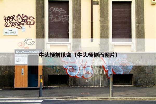 牛头梗前爪弯（牛头梗侧面图片）