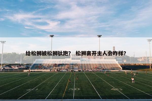 给松狮被松狮驮跑？ 松狮离开主人会咋样？