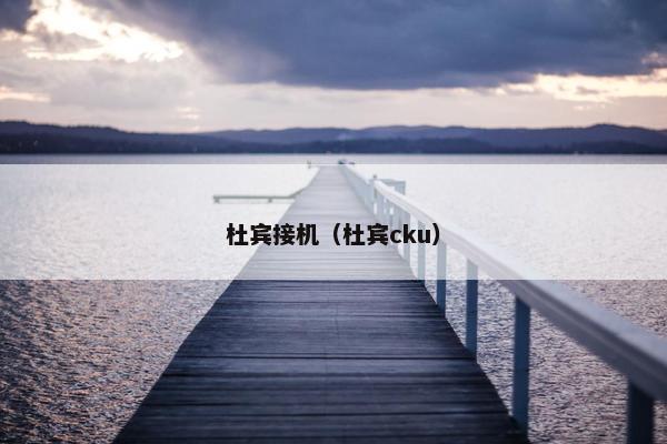杜宾接机（杜宾cku）
