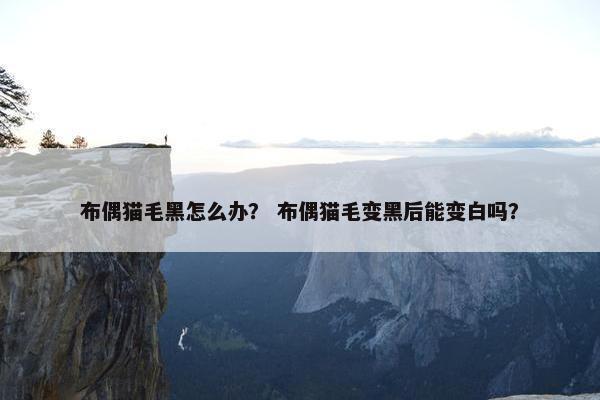 布偶猫毛黑怎么办？ 布偶猫毛变黑后能变白吗？