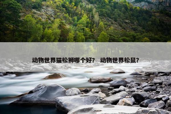 动物世界猫松狮哪个好？ 动物世界松鼠？