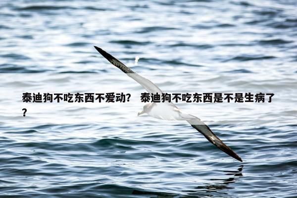 泰迪狗不吃东西不爱动？ 泰迪狗不吃东西是不是生病了？