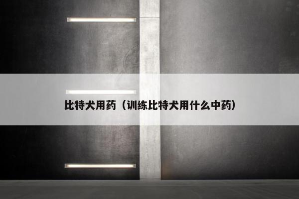 比特犬用药（训练比特犬用什么中药）