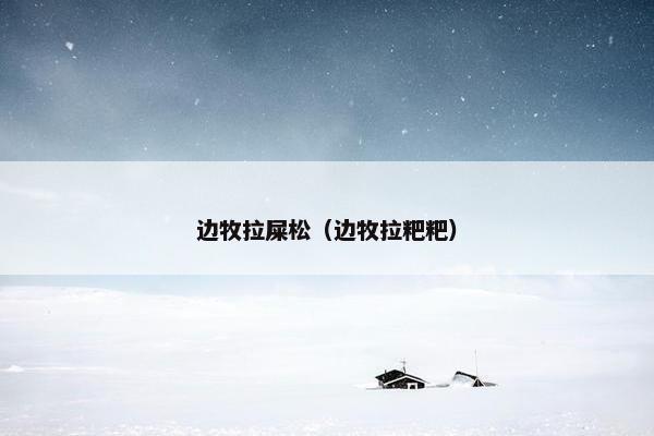 边牧拉屎松（边牧拉粑粑）