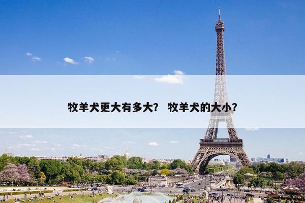 牧羊犬更大有多大？ 牧羊犬的大小？