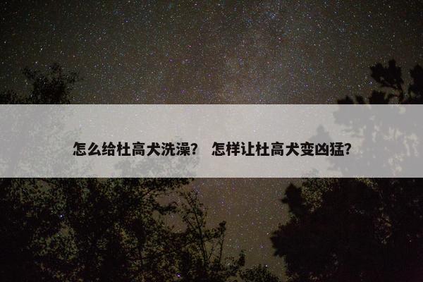 怎么给杜高犬洗澡？ 怎样让杜高犬变凶猛？
