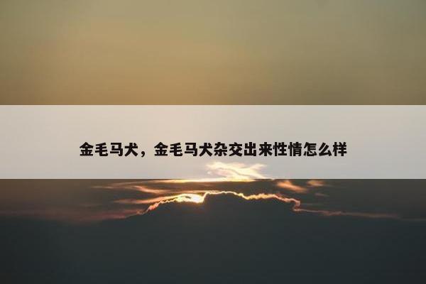 金毛马犬，金毛马犬杂交出来性情怎么样