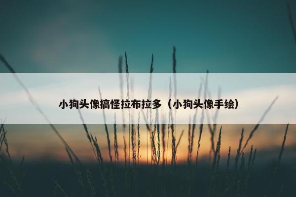 小狗头像搞怪拉布拉多（小狗头像手绘）