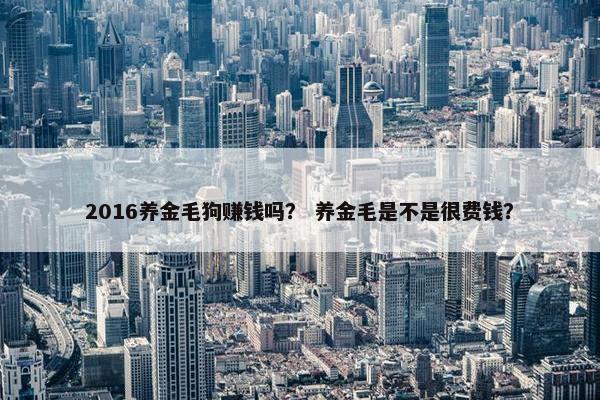 2016养金毛狗赚钱吗？ 养金毛是不是很费钱？